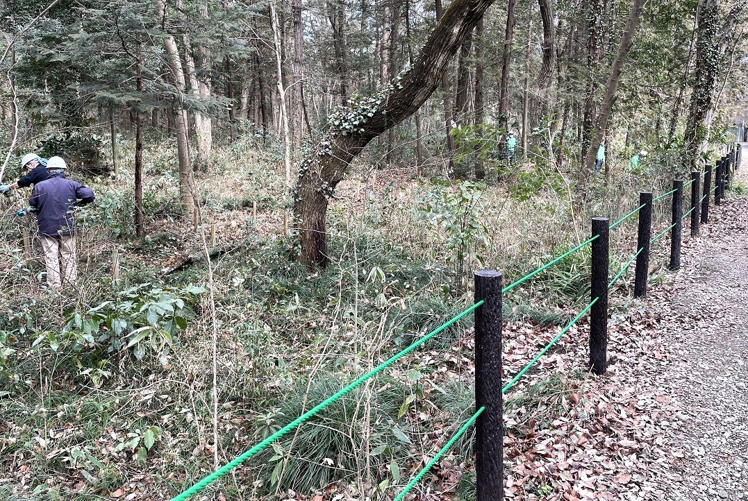 ⑩でもきれいになりました②の写真と比較して下さい