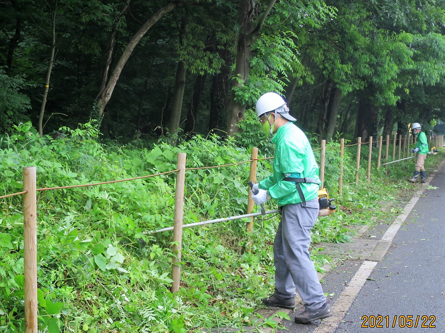 ②クズなどの植物が道路に這い出しているため刈り取り