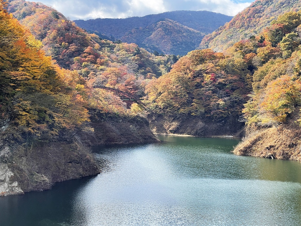 ③a大吊橋からもみじ谷を眺める