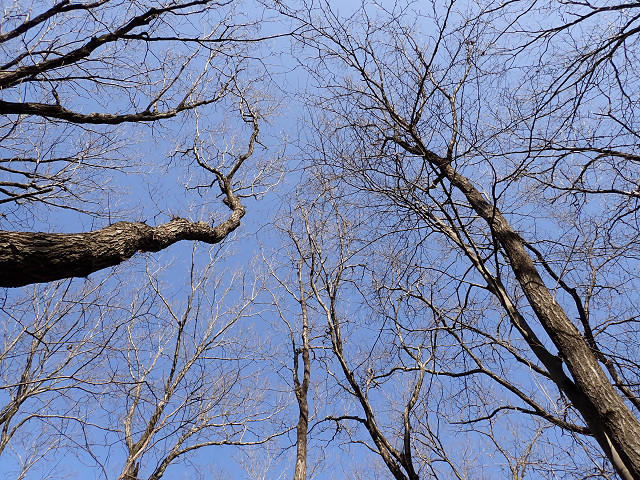 ①抜けるような青空