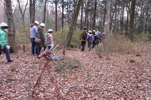 ⑦森の中を説明を受けながら進む