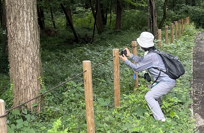 ⑤トラスト地の生きものたちも同時に観察