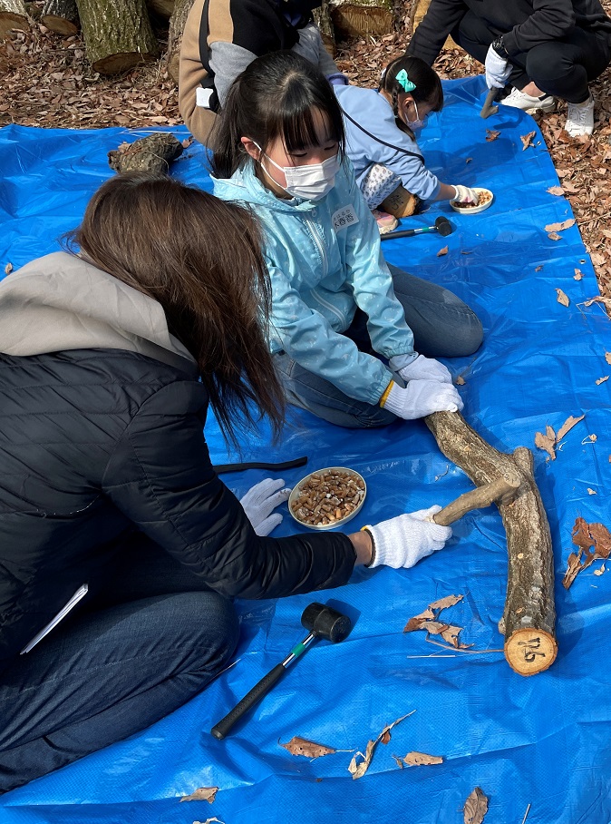 ⑪子供が気を抑えお母さんがコマ打ち