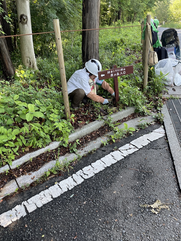④こういうところは手作業でないとうまく刈り取れない