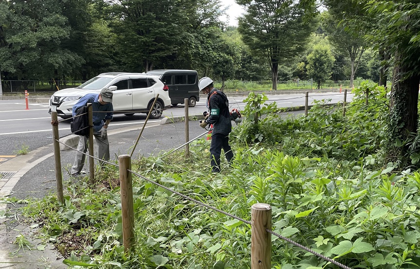 ③コーナー部分は車の安全のためにも刈り取ります