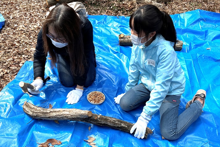 ⑯まだ穴が残っているかな？