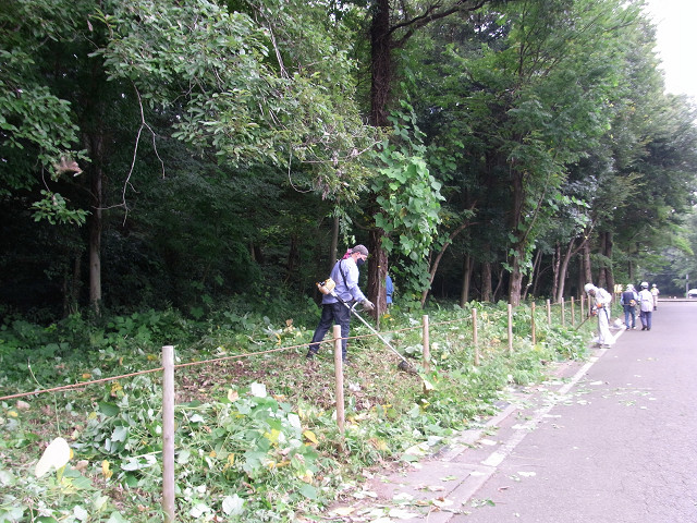 ⑥こちらもだいぶ進んできましたよ