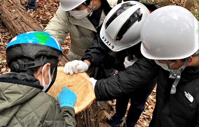 ㉜」年輪数えて、64歳ぐらいのようです