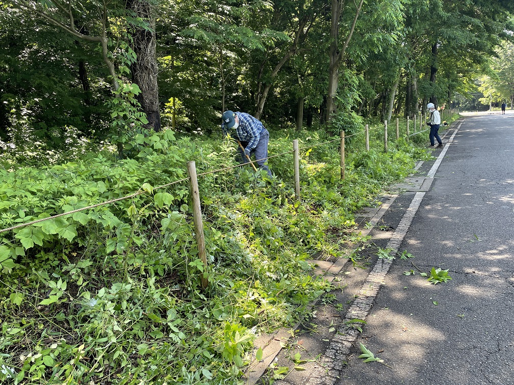 ⑧こちらは大鎌で刈り取ってるようだ