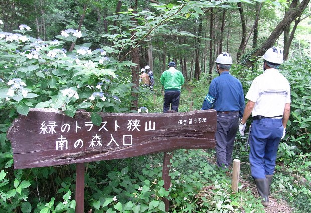 ⑯これで入口からの散策路がすっきりしました