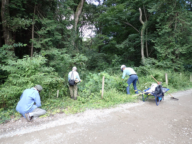 ①南の森道路脇から作業開始