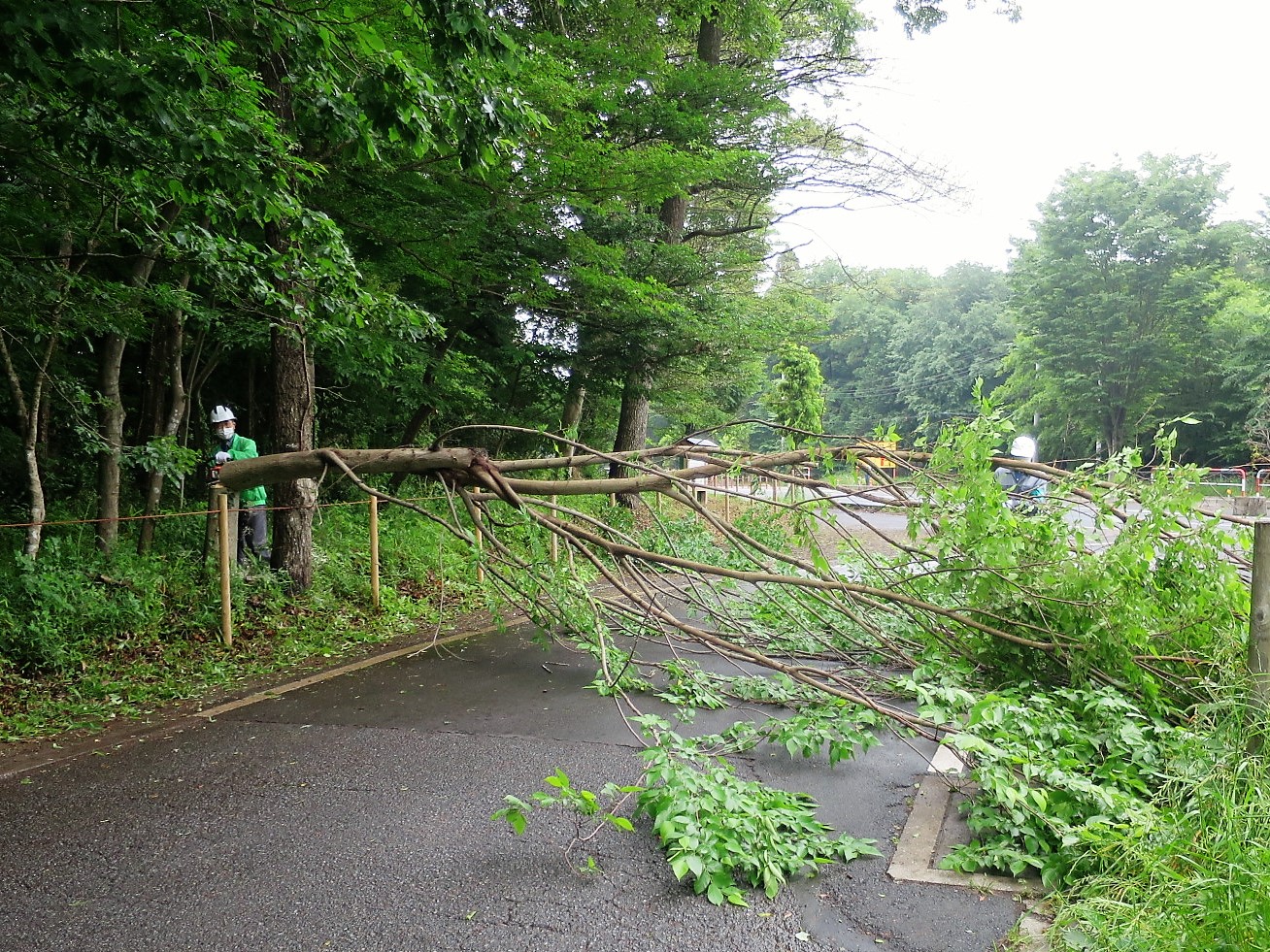 ⑦道路の往来を止めて道路側に倒す