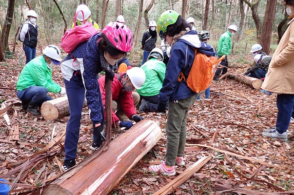 ㊳今でも神社等では、檜皮葺と言ってよく使われています
