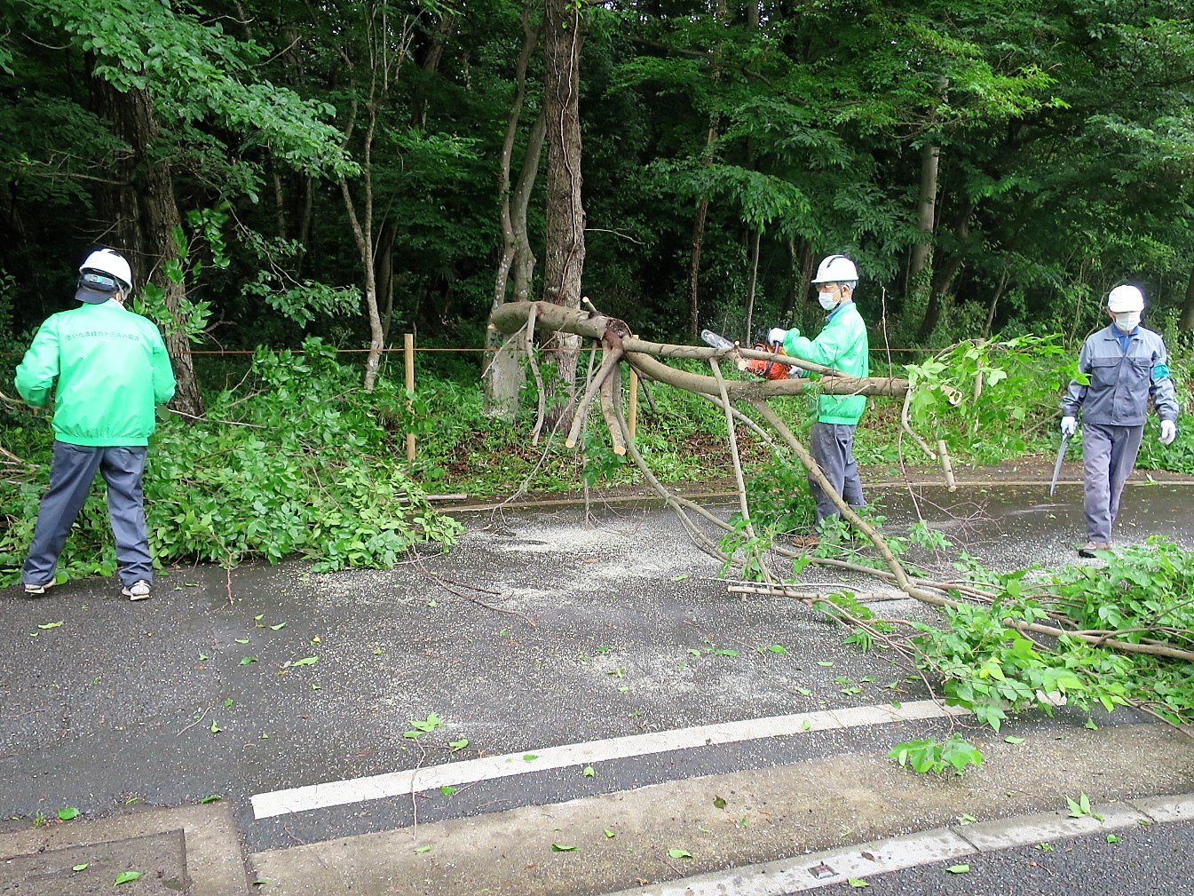 ⑧倒した木を細かくして運搬作業を容易にする