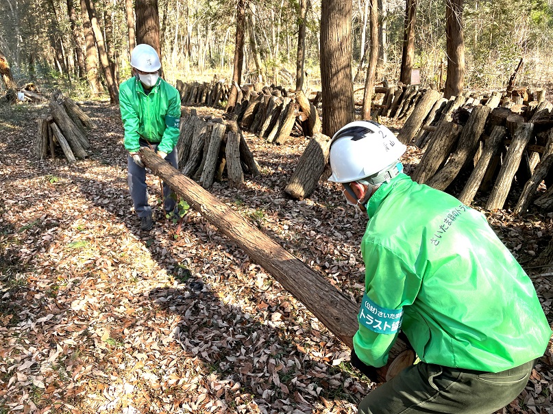 ⑩こちらも新たな馬づくり