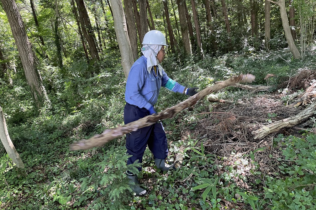 ③枯れ木枯れ枝を1か所に集める