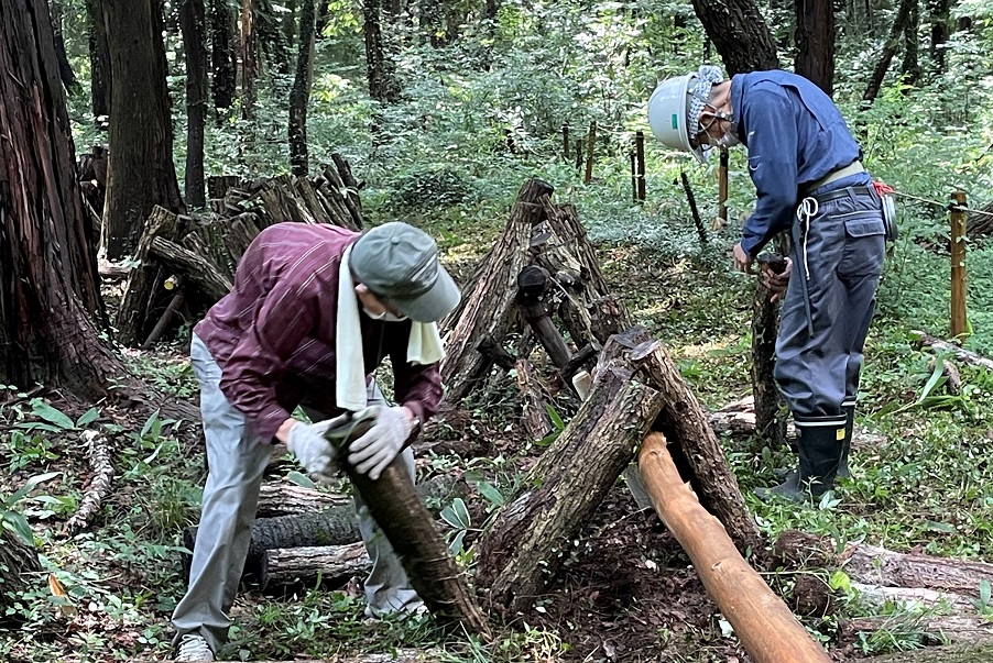 ⑮本伏せ作業