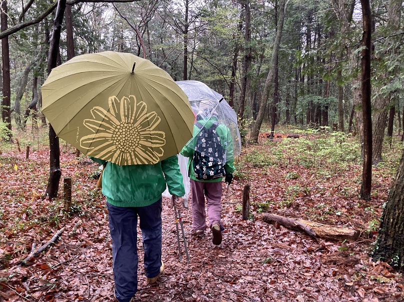 ①雨の中、巡視美化でごみ拾い、散策路を行く