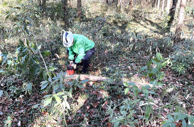⑦コマ切りにして散策路脇に並べます