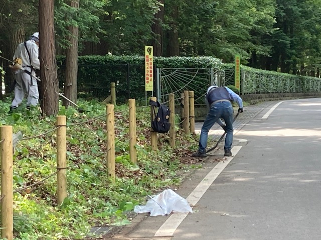⑯最後の仕上げ、道路脇をきれいに