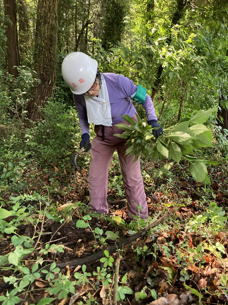 ㉑え、まだやるのですか？終わりですよ！