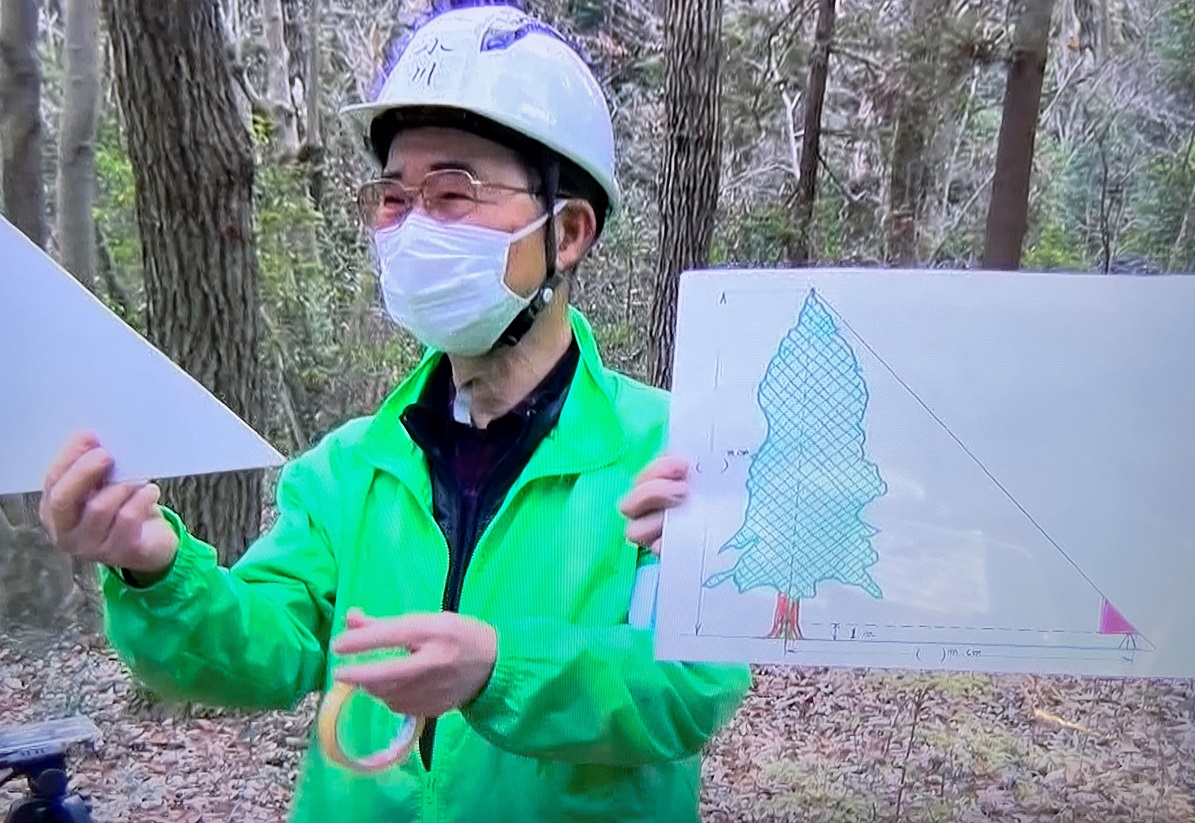 ⑮直角二等辺三角形の斜めの線の方向と木の先端が一致します