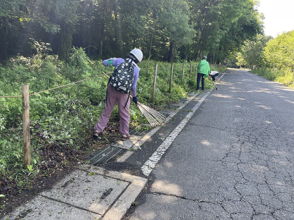 ⑤刈り取った草木をきれいに掃き上げ