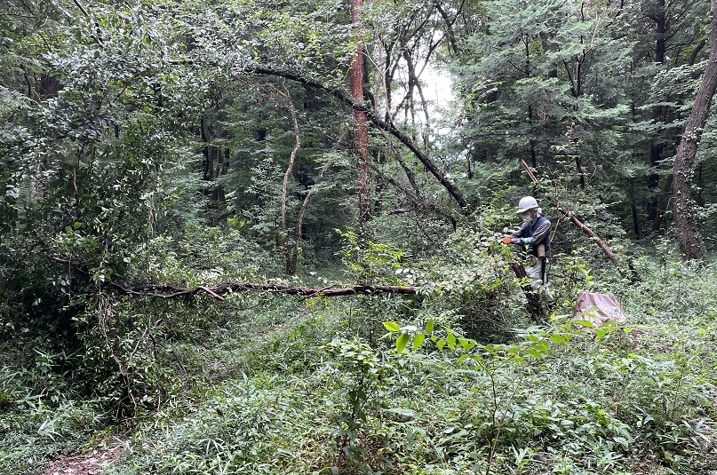 ③散策路をふさぐ倒木の処理