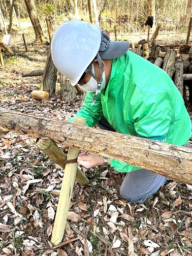 ⑬馬脚の固定縛りも板についてきました
