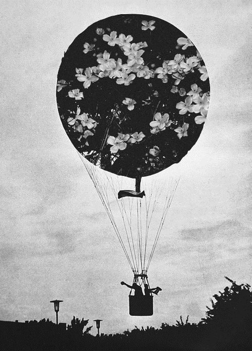 oder eine Ballonfahrt nach Timbuktu?