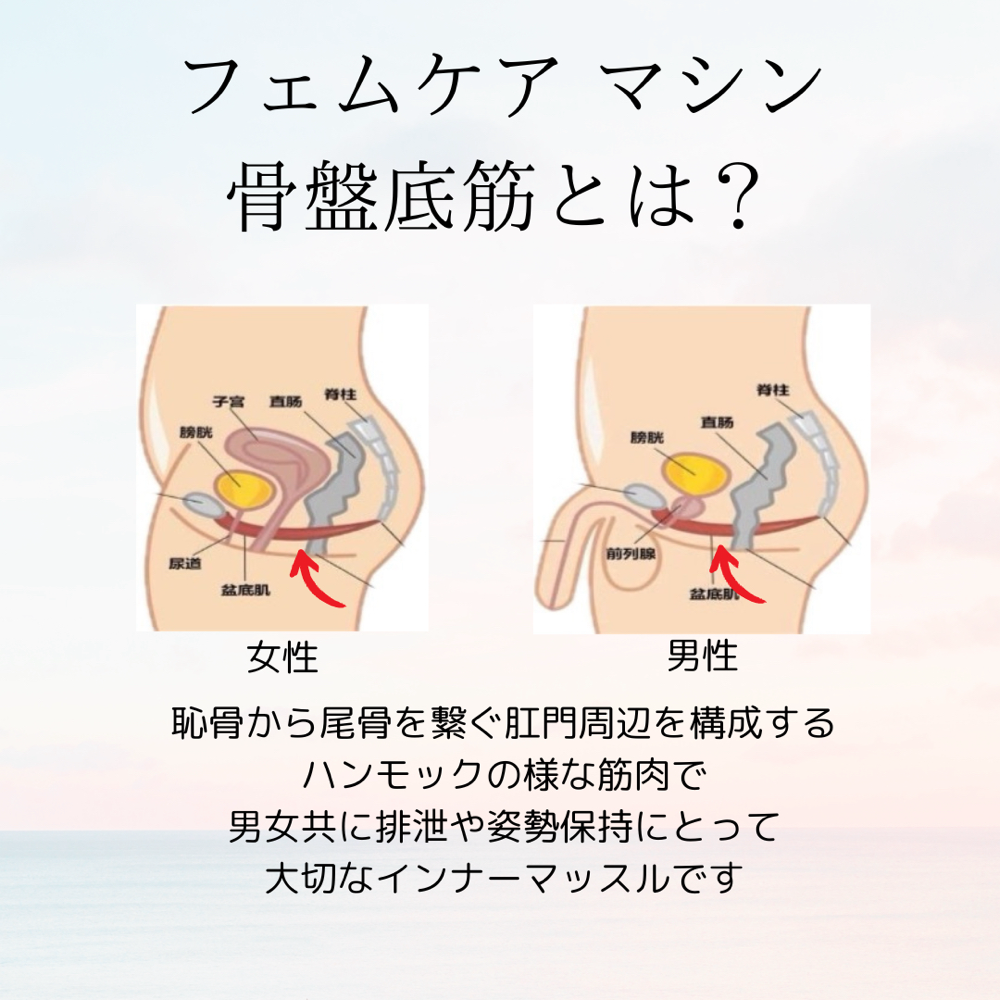 骨盤底筋を鍛える！ - toudaseikotuin ページ！