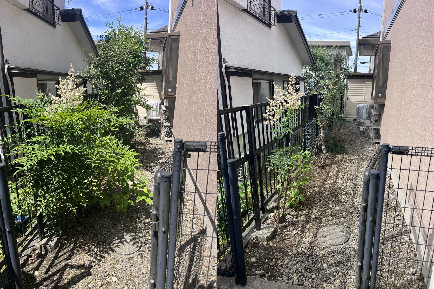 【元八王子町】空き家の定期剪定。近隣への配慮と防犯対策ですっきり美しく！