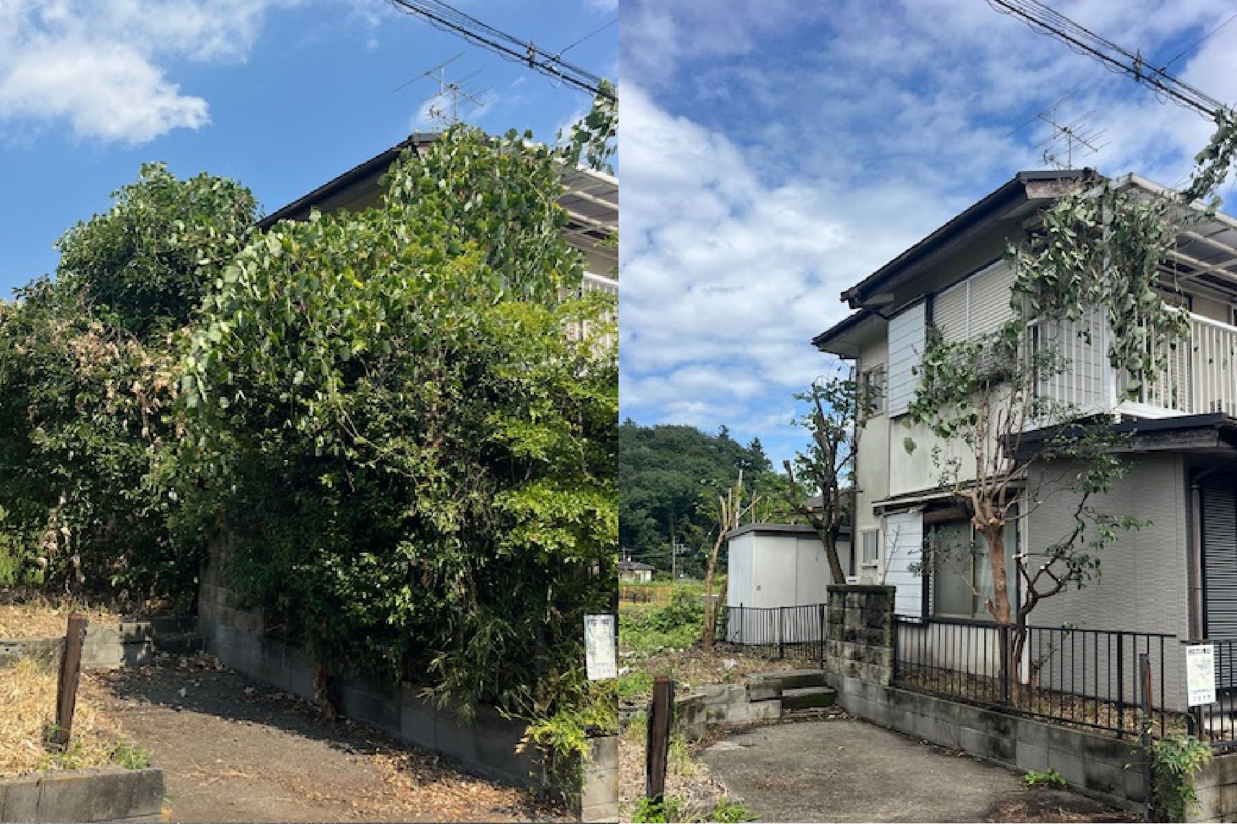 【八王子市】空き家のトラブル解決！電線に絡むツル草とハチの巣の撤去！
