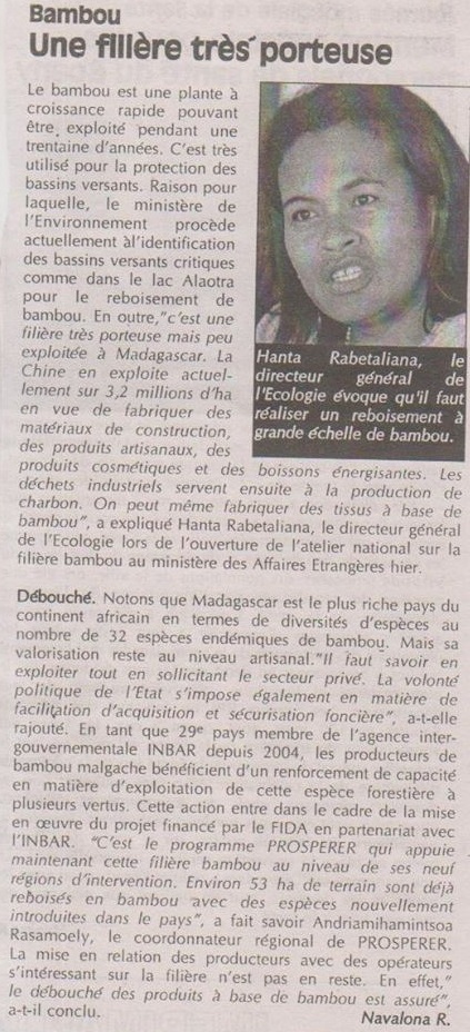 Madagascar 2015  Le Ministère en charge des forêts s'attèle à l'élaboration d'une politique nationale du bambou