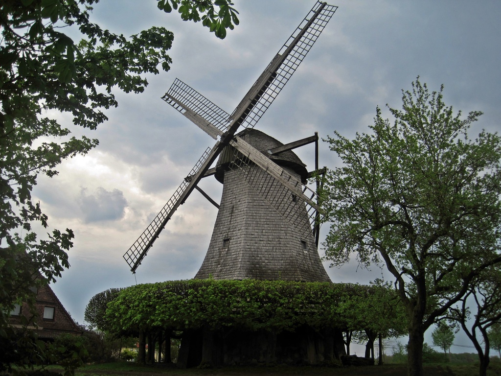 Windmühle Destel - Galerie-Holländer von Linden und Kastanien umgeben