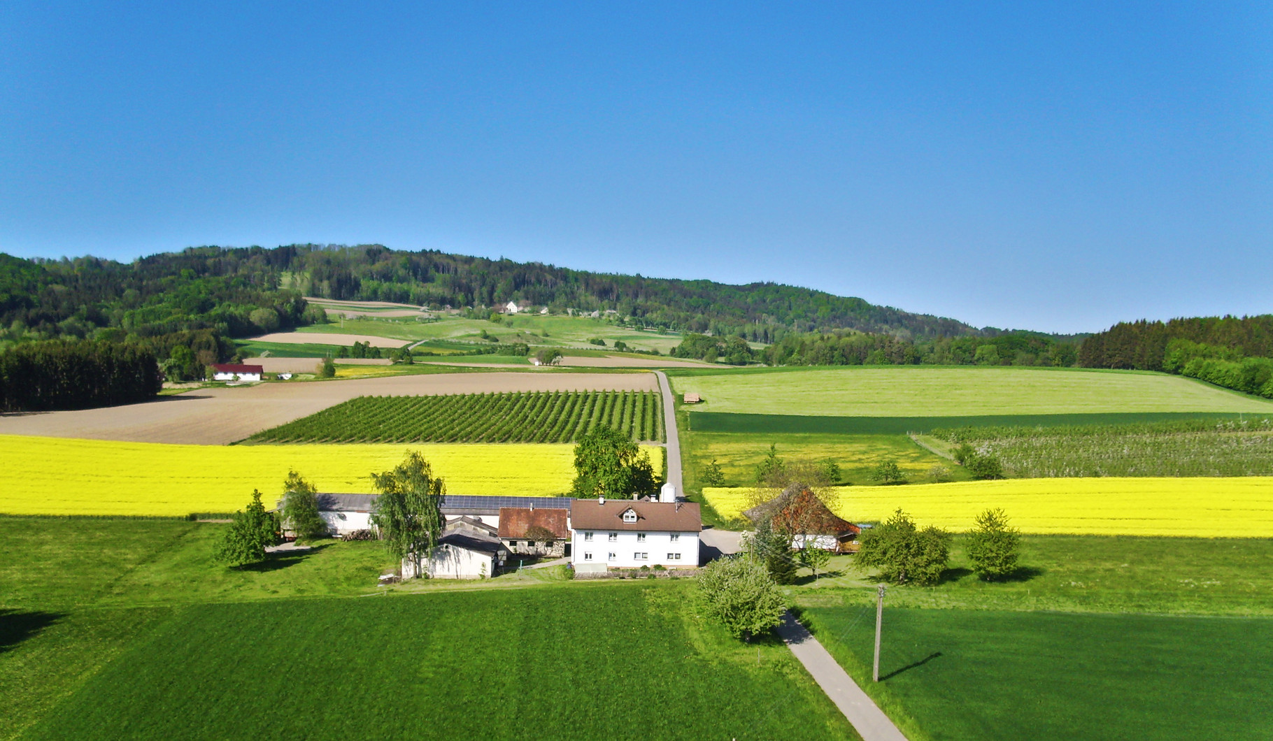 Aspenhof erleben Aspenhof Ferien auf dem Bauernhof am Bodensee