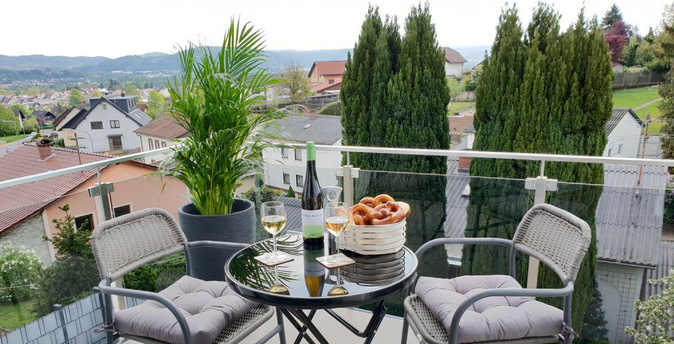 Fantastischer Blick über das Saartal vom Balkon in Merzig