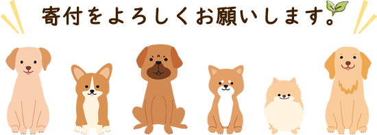 寄付について○応援待ってるワン○   ゆめまる隊   保護犬たちに