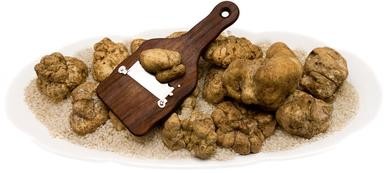 Tuber Magnatum Pico Vitt.