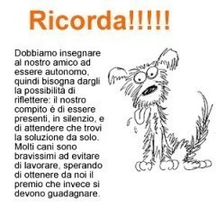 addestramento cane da tartufo