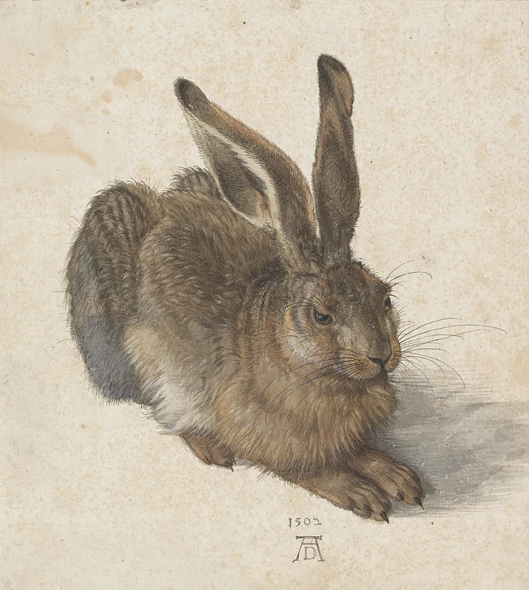 Bild von Albrecht Dürer