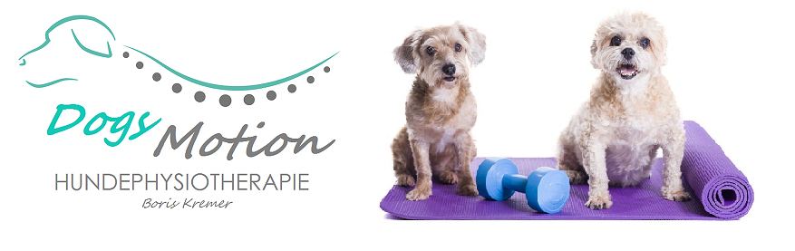 Blutegeltherapie Hundephysiotherapie Hanau und Sporthundetherapie mit