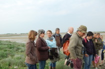 promenade en baie de somme