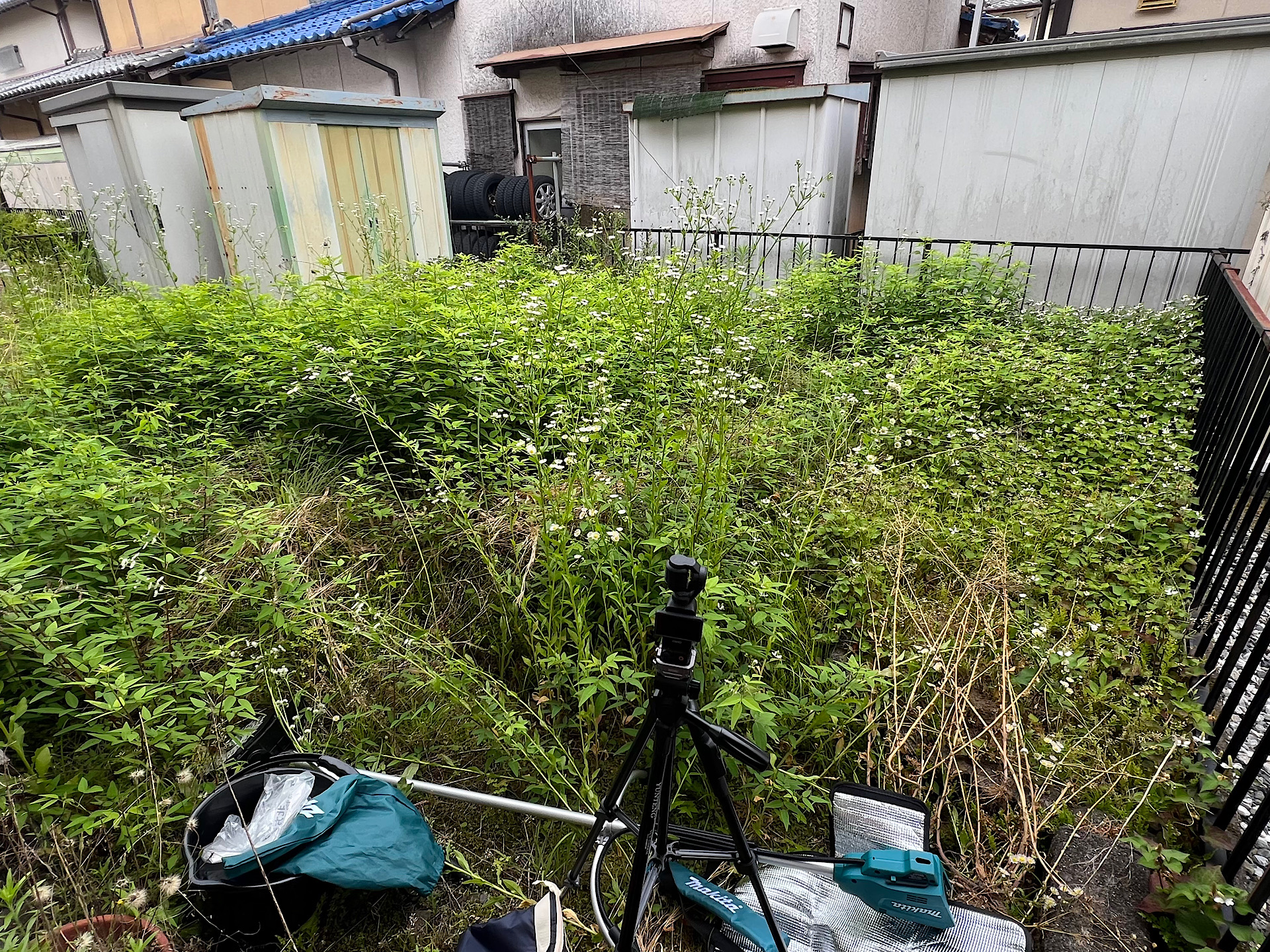 草刈り 揖斐郡大野町 T様 作業前
