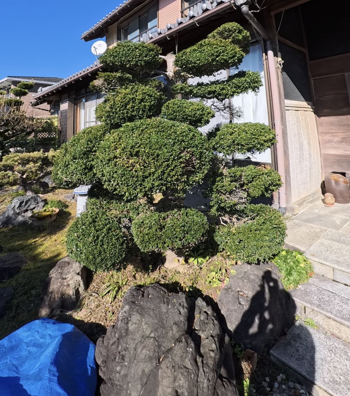 剪定 作業後