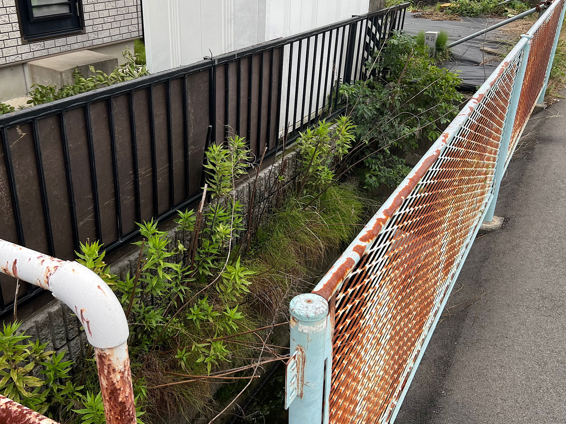 枝伐採 岐阜市川部 S様 施工前