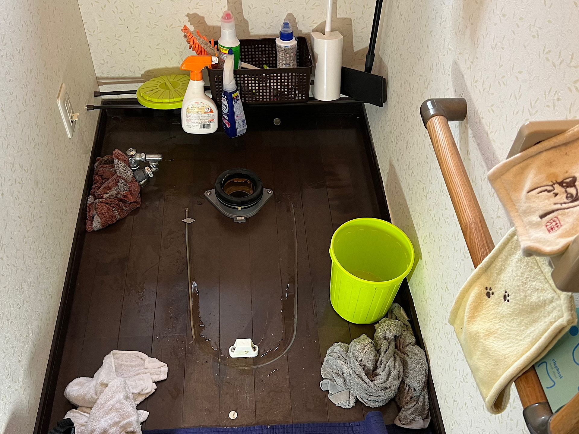 施工中  便器＋タンク＋便座を外していきます🛠️