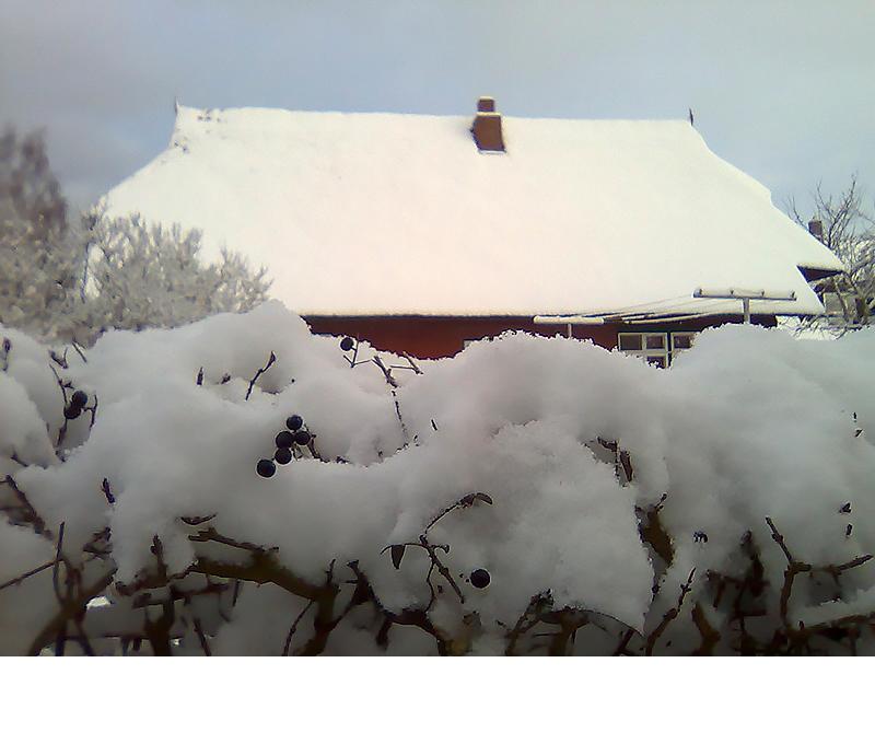 Januar 2023 | bedeckt | Foto © Ursula Kelm