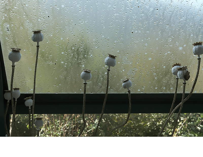 November 2023 | Foto © Sylvia Forsten