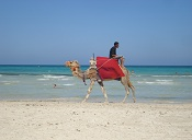 ..am Strand von Sidi Mares  